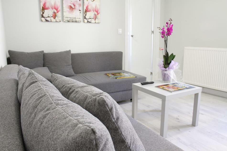 Apartamentos Logrono Centro ภายนอก รูปภาพ